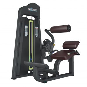 BX31 - Back Extension