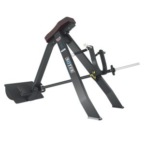 BX61 - Incline Level Row