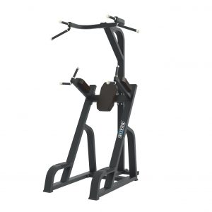 BX80 - Chin Up/Dip & Knee Up