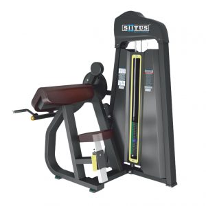 BX29 - Biceps/Triceps