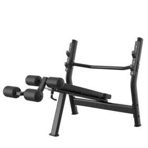 ZH 24 DECLINE BENCH PRESS