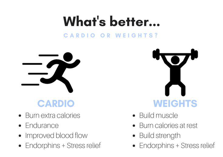 Cardio vs Strength Training Comparison