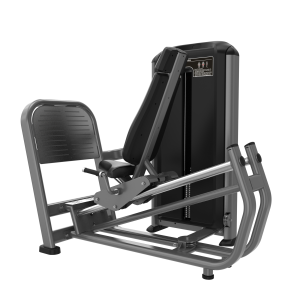 ELVIS GREYFX16-LEG PRESS