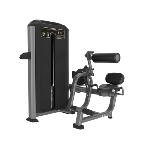 ELVIS GREYFX31-ABDOMINAL CRUNCH LOWBACK