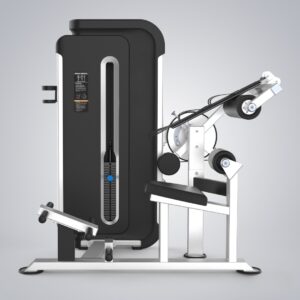 GalaxyH3088 Abdominal & back Extension